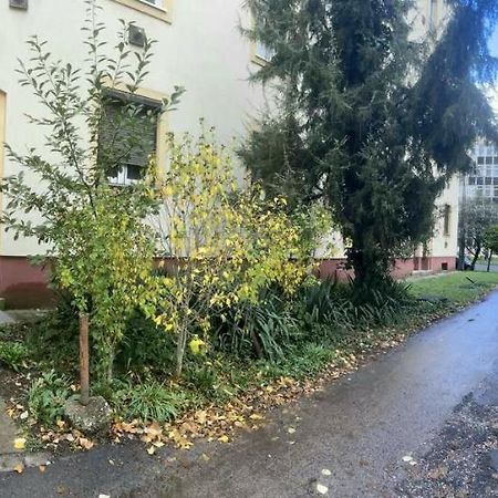 Downtown Apartman Near City Center & Miskolc Plaza Extérieur photo